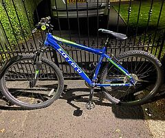 Carrera valour mountain bike