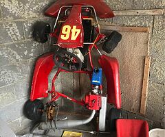 Cadet Zip kart