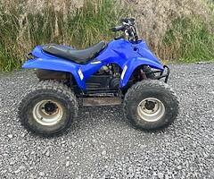 Blaney fx100 - Image 5/5