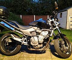 Hornet 600