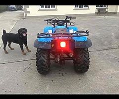 Yamaha big bear 350 4wd - Image 6/10