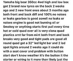 Yamaha big bear 350 4wd - Image 7/10