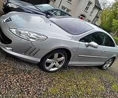 2009 Peugeot 407