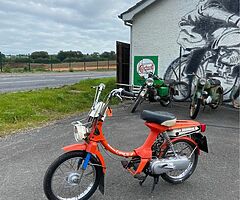 1983 Honda Express - Image 7/7