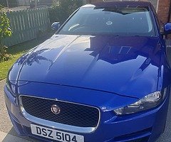 Sport jaguar - Image 7/9