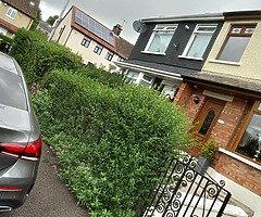 Power washing pubbish dumpped gardens cut hedges cut