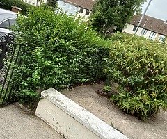 Power washing pubbish dumpped gardens cut hedges cut - Image 3/10