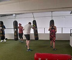WARRIOR PROGRAM - Image 7/8
