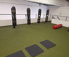 WARRIOR PROGRAM
