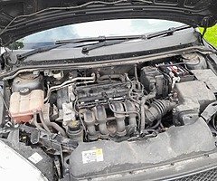Ford Fucus