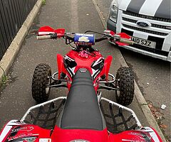 2008 308436969822020 Trx 450r - Image 8/9