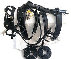 Horse harness