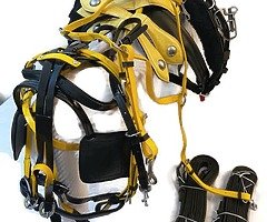 Horse harness - Image 5/10