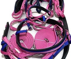 Horse harness - Image 7/10