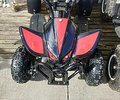 2021 Electricycle Eletric - Image 4/4