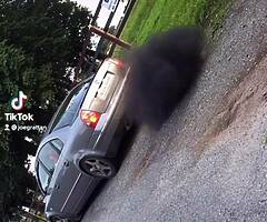 B5 Passat