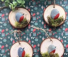 Robins