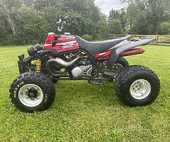 Banshee for sale - Image 7/10