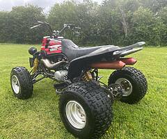 Banshee for sale - Image 9/10