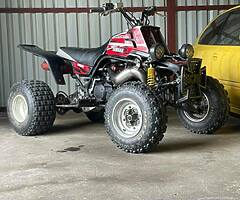 Banshee for sale - Image 10/10