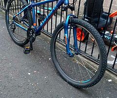 Carrera moutain bike