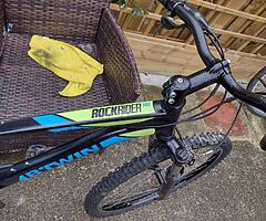 26" wheel b twin rock rider