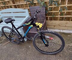 26" wheel b twin rock rider