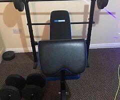 Weight bench and weights - Image 3/6