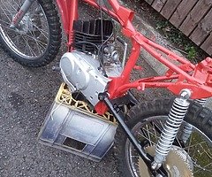 2005 Cougar 100cc - Image 3/5