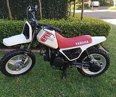 1981 Yamaha PW50