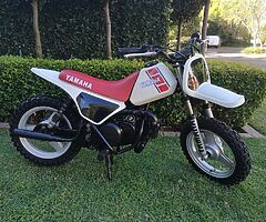 1981 Yamaha PW50