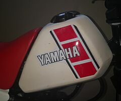 1981 Yamaha PW50 - Image 6/8