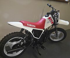 1981 Yamaha PW50 - Image 7/8