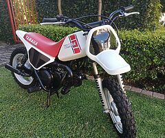1981 Yamaha PW50 - Image 8/8
