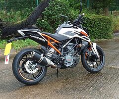 2017 KTM Duke