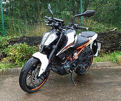 2017 KTM Duke - Image 5/10