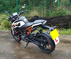 2017 KTM Duke - Image 7/10