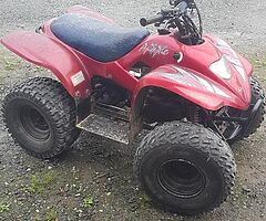 Apache 100cc quad