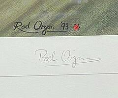 ORIGINAL & LIMITED ROD ORGAN PRINT "REVIN KEVIN"  499/500 Wayne Rainey Isle of Man TT Joey Dunlo