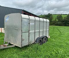 Ifor Williams 12x6 cattle trailer