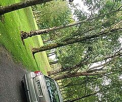 2008 Avensis **swaps**