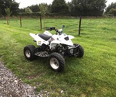 Quadzilla pro shark with safety gear