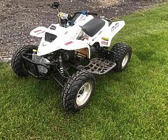 Quadzilla pro shark with safety gear - Image 3/10