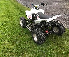 Quadzilla pro shark with safety gear - Image 4/10