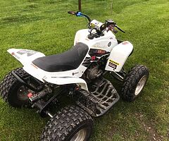 Quadzilla pro shark with safety gear - Image 5/10