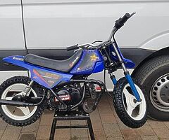 Pw50