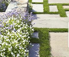 Eco care Ltd.