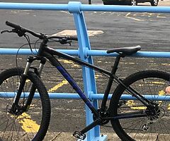 2020 Carrera Carrera