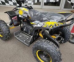 2021 Electric Quad 1000W 36V - Image 6/8