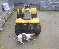 Suzuki lt 50 quick sale needed